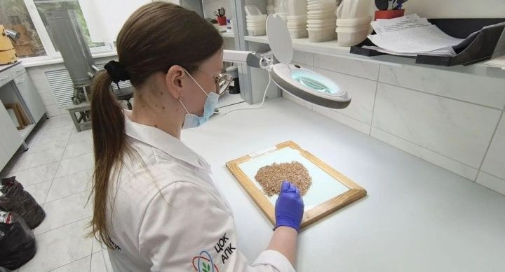 В Татарстане подтверждено качество более 36 тысяч тонн масличного льна нового урожая