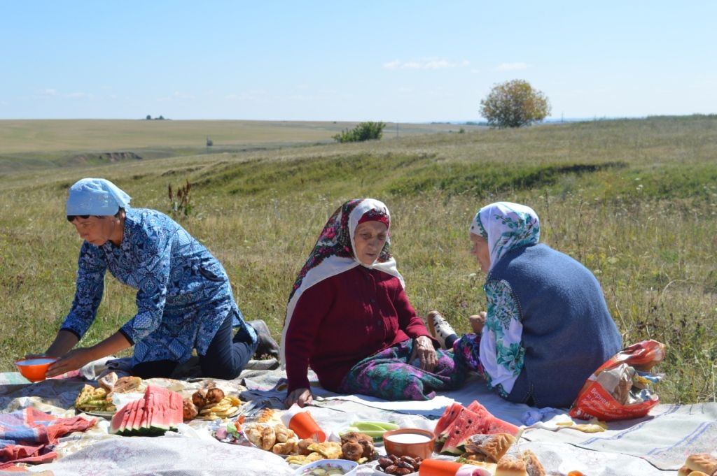 Погода кармалы самарская область. Деревня малые кармалы. Малые кармалы Ибресинский район. Малые кармалы Ибресинский район Церковь. Игра Кармала.