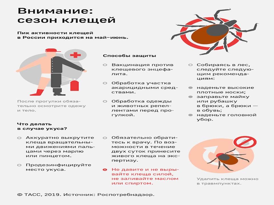 Роспотребнадзор карта клещевого энцефалита