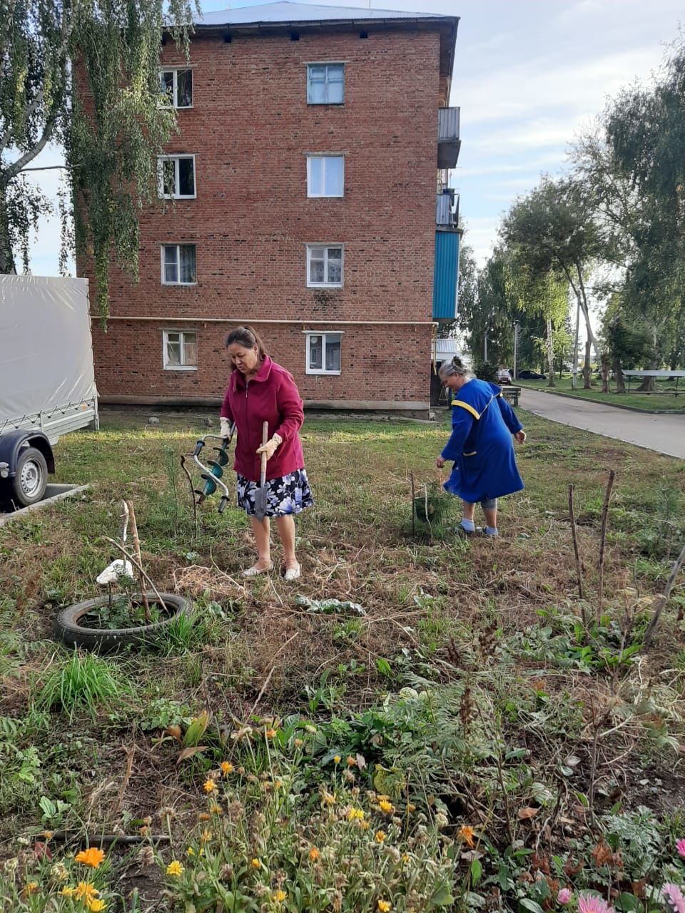 Жительницы многоквартирного дома в Затоне не ждут, когда придут и приведут  в порядок их палисадник - фоторепортаж