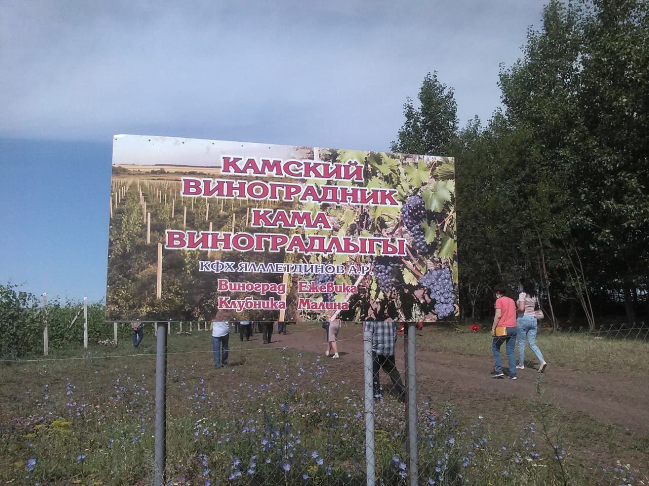 Соседи из Апастовского района приехали перенимать опыт у камскоустьинцев