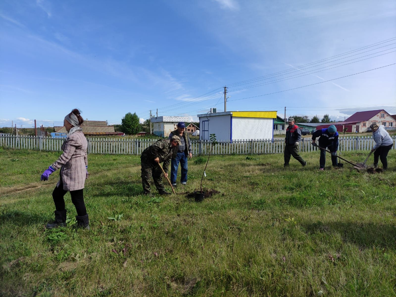 Мордовский Каратай: в парке Победы высадили деревья и кустарники
