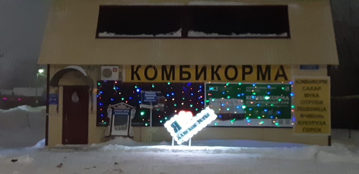 Камскоустьинцы украшают свои дома и учреждения к Новому году