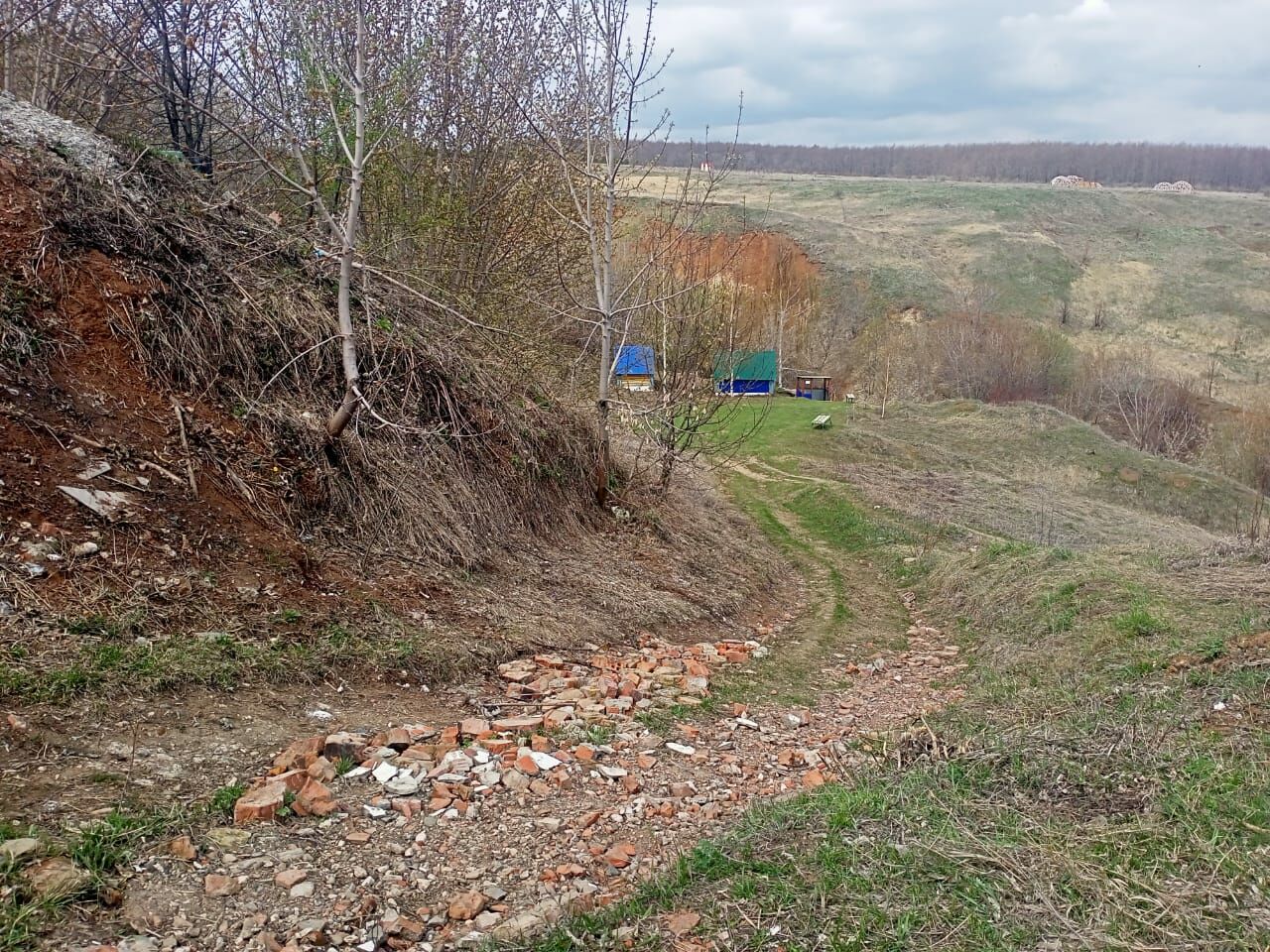 Соседи объединяются и делают свою землю краше