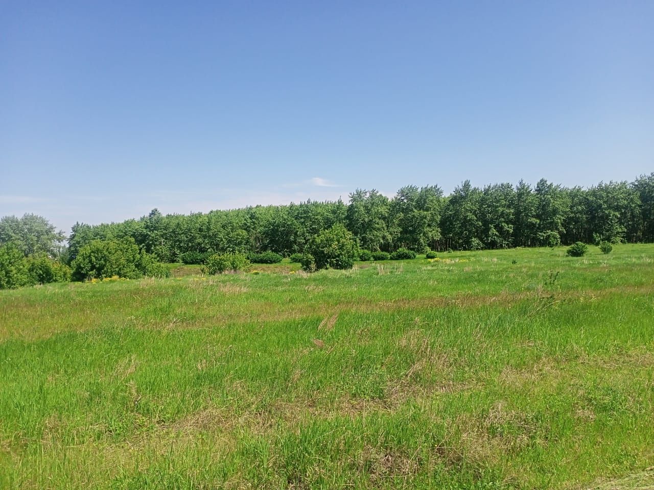Погода в Камском Устье на завтра
