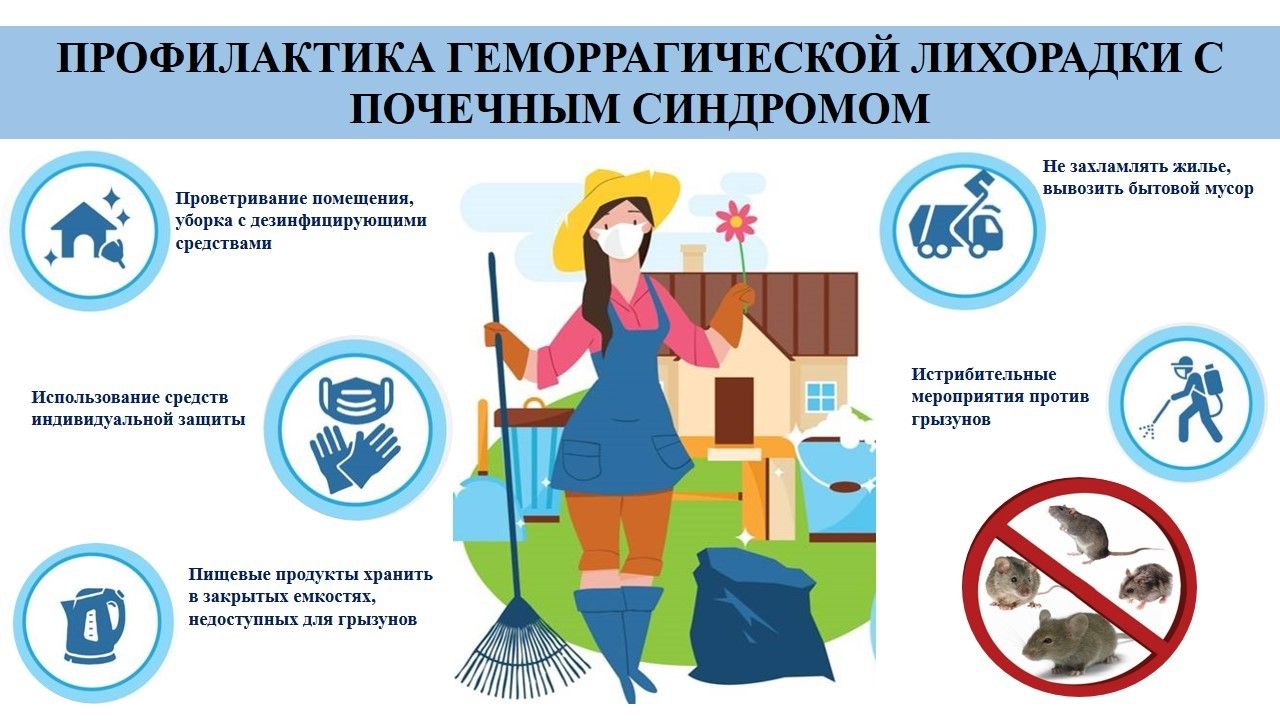 Против геморрагической лихорадки поможет профилактика