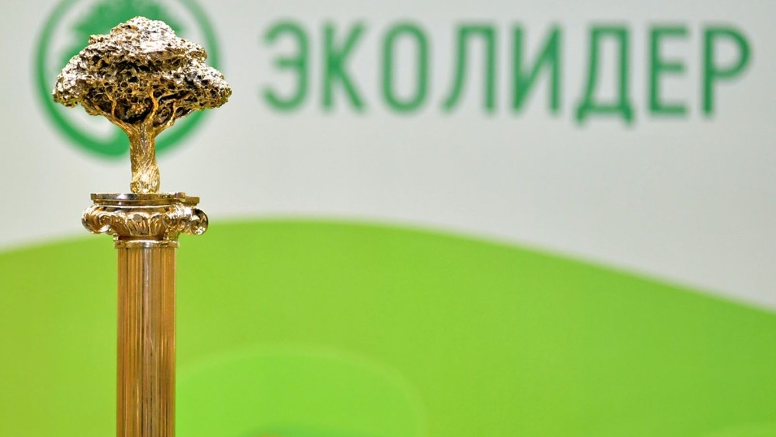Принимаются заявки для участия в конкурсе «ЭКОлидер-2024»