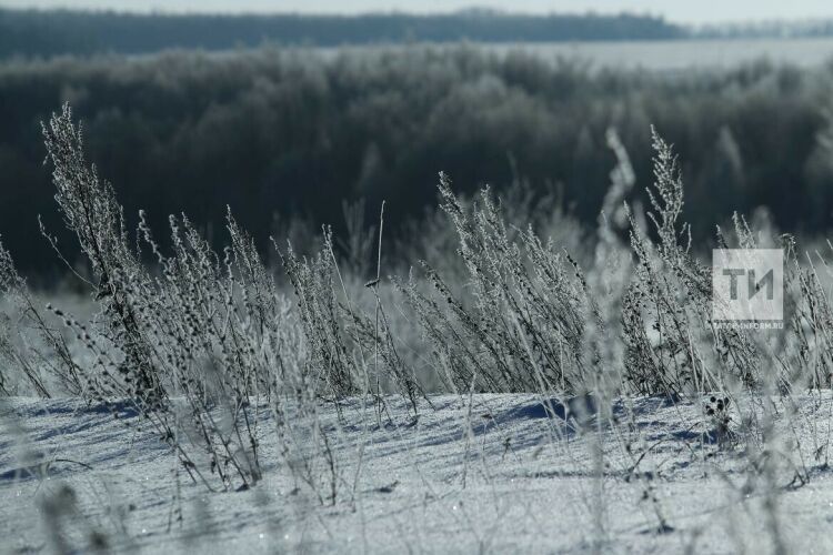 До 95% полей Татарстана покрыто снегом