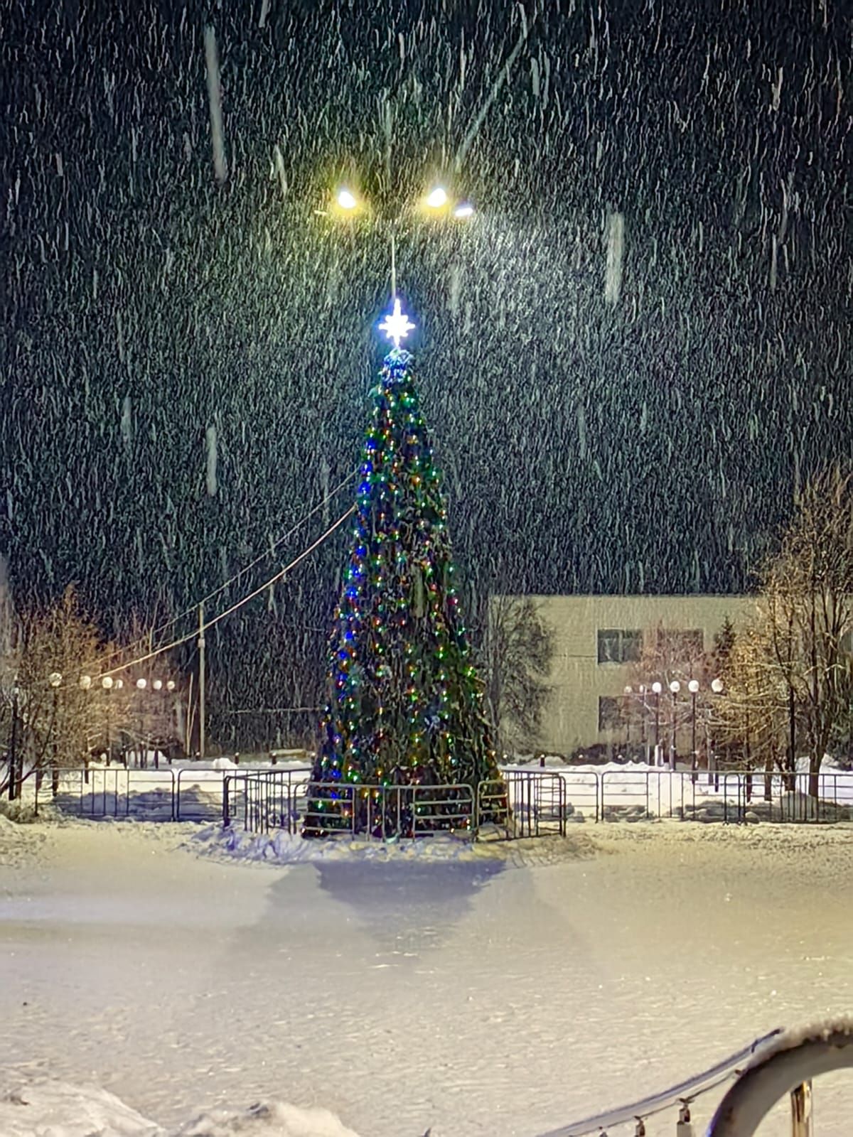 Куда пойти камскоустьинцам в зимние каникулы