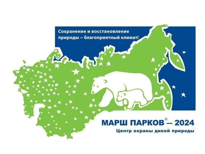 Камскоустьинцев приглашают принять участие в экологических конкурсах в рамках акции «Марш парков – 2024»