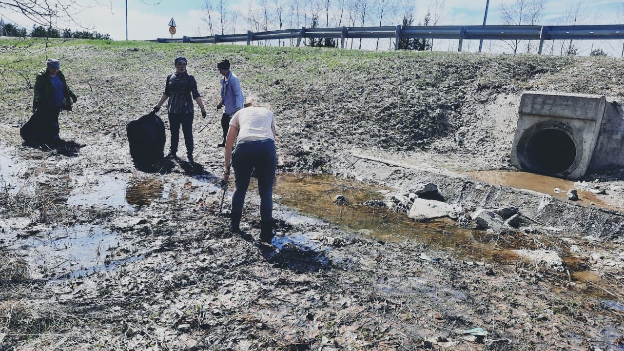 ЭКО-ВЕСНА: наш общий дом не ограничивается личным забором