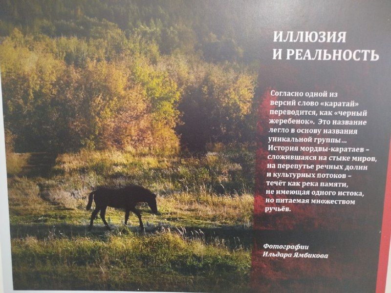 Деревня, в которую хочется вернуться