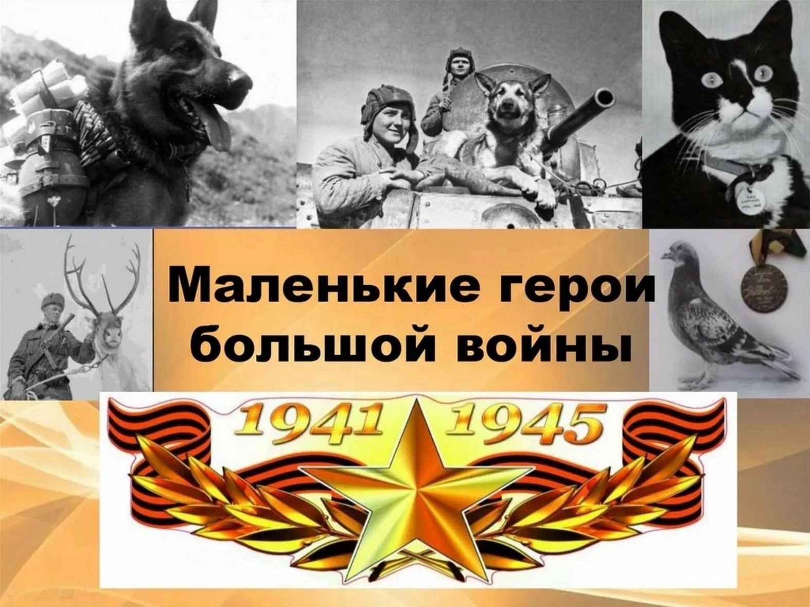 Стартовал творческий конкурс рисунков «Животные – участники ВОВ»