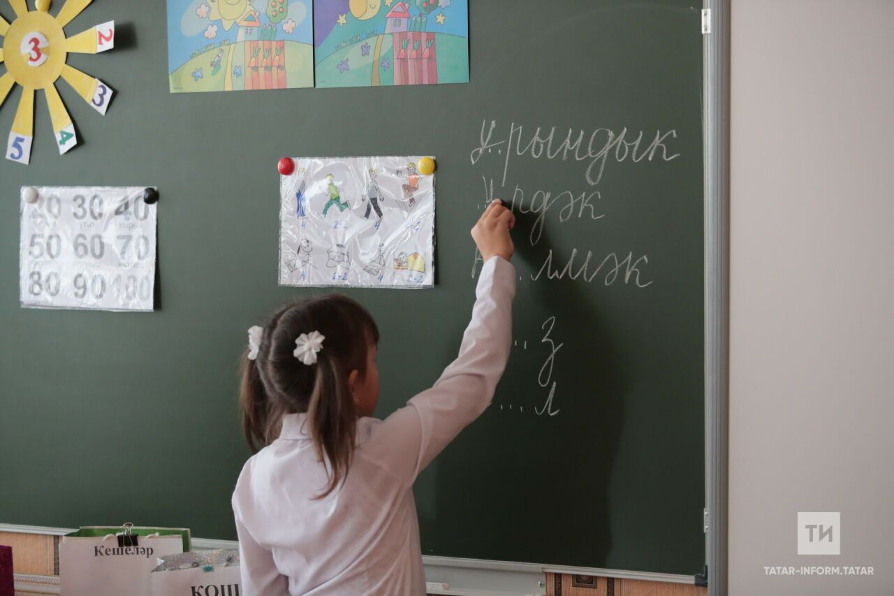 Минюст Татарстана: перевести ребенка в коррекционный класс без согласия родителей невозможно