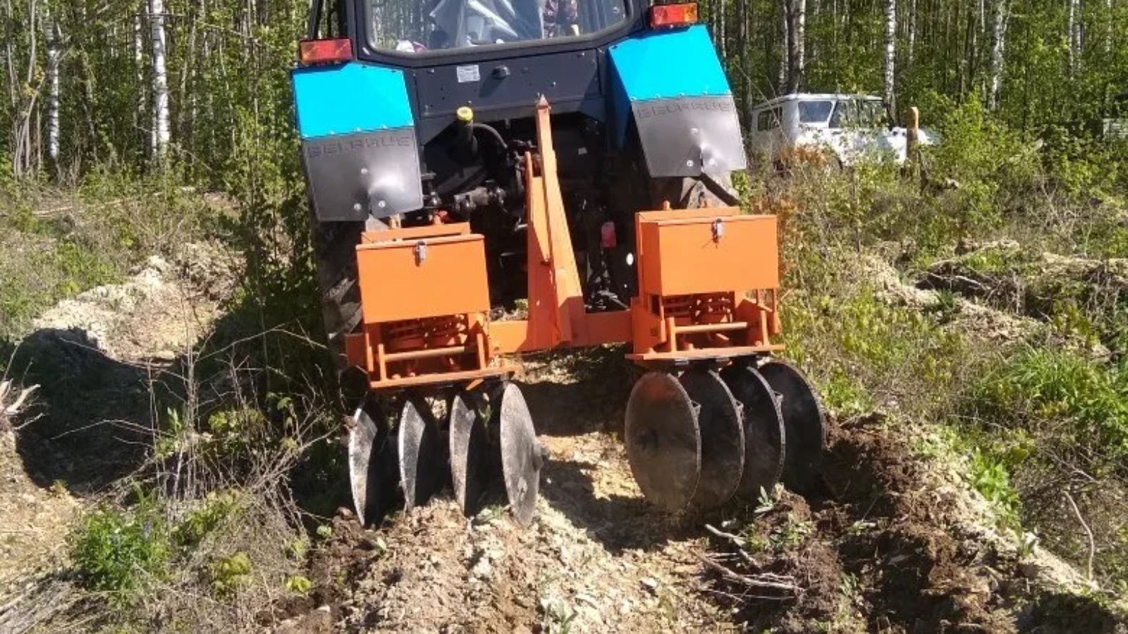 В Татарстане провели работы по уходу за молодыми деревьями на площади 11,3 тысячи гектаров