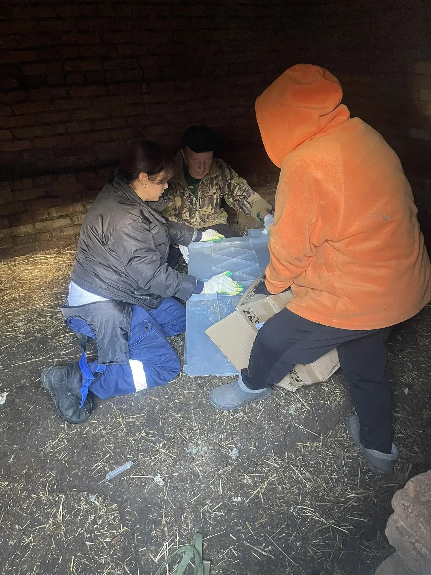 Наталья Яранова: там был настоящий зооконцлагерь