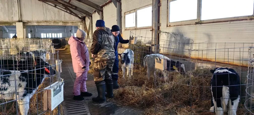Сюкеевский животноводческий комплекс ожил