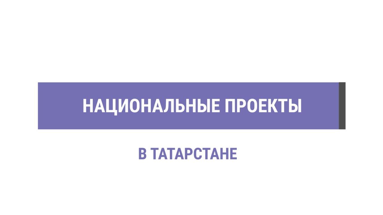 Как в Татарстане реализуют нацпроекты: 2200 отзывов, 54 млрд рублей и голосование за парки