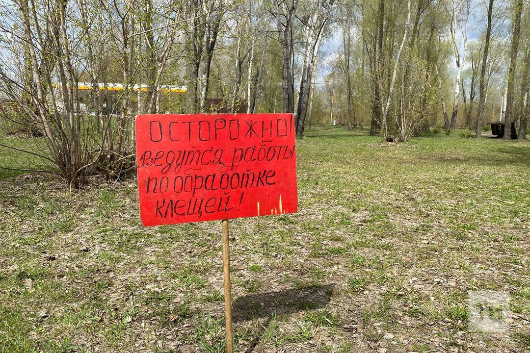 Татарстан в списке опасных регионов, где можно заразиться смертельной болезнью от укуса клеща