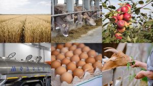 Минсельхозпрод Татарстана объявляет о проведении республиканских конкурсов