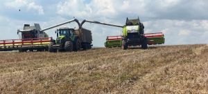 В Камско-Устьинском районе дан старт уборочной кампании 2026 года
