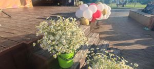 День семьи, любви и верности отметили в Камском Устье