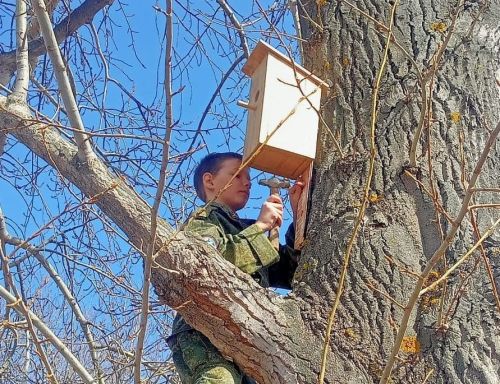 Кадеты присоединились к республиканскому конкурсу «Эковесна – 2025»