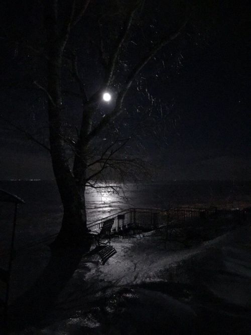 Районный прогноз погоды на 15 января