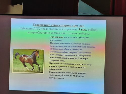 Сходы граждан продолжаются