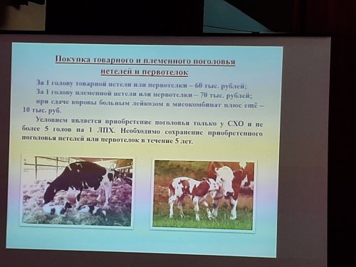Сходы граждан продолжаются