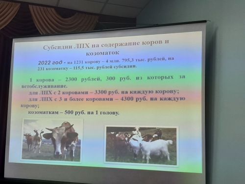 Сходы граждан прошли  в Варваринском и Большебуртасском сельских поселениях