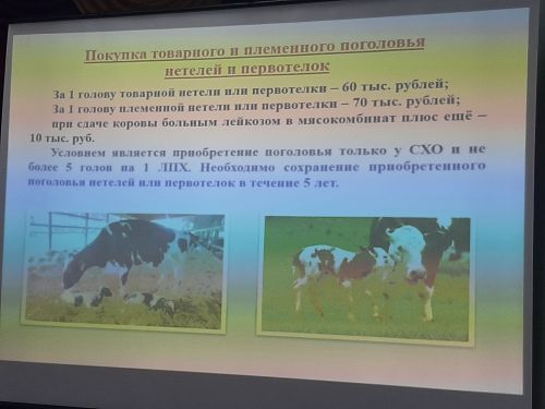 Сходы граждан прошли  в Варваринском и Большебуртасском сельских поселениях