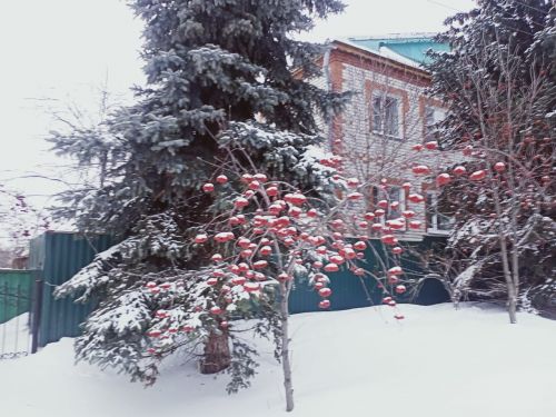 Заявки на конкурс можно подать до 28 февраля