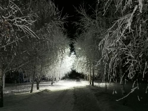 Сильный мороз ждет камскоустьинцев 10 января