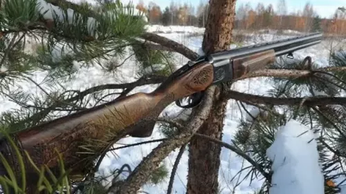 Случайный выстрел из ружья стал причиной смерти человека