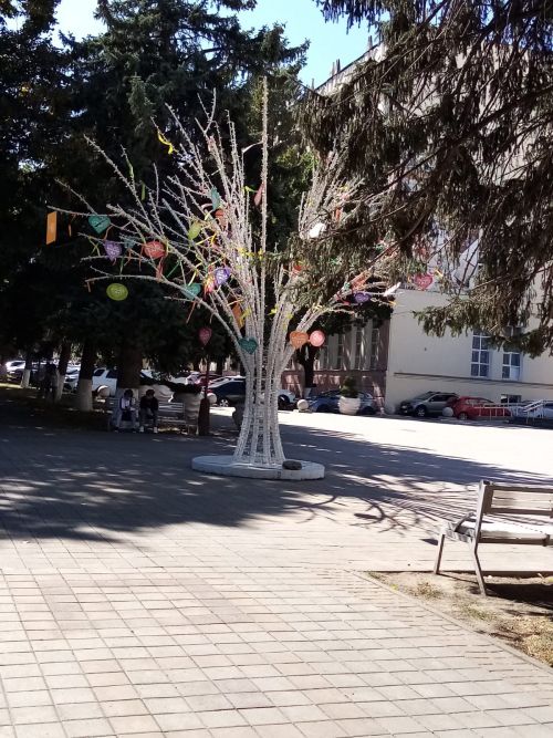 Краснодар крае: сәяхәт башлана