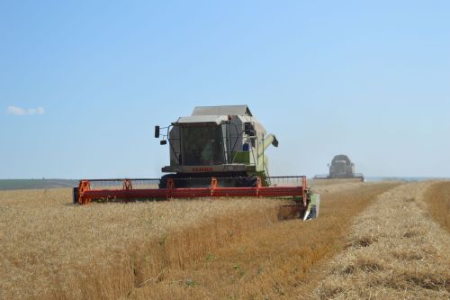 Татарстанцы могут проголосовать за сельское хозяйство республики