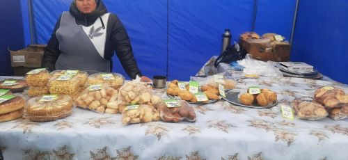 Камскоустьинцы на сельхозярмарке