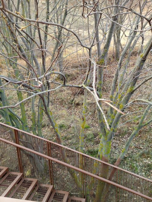 Рыбаки приезжают в Камское Устье круглый год