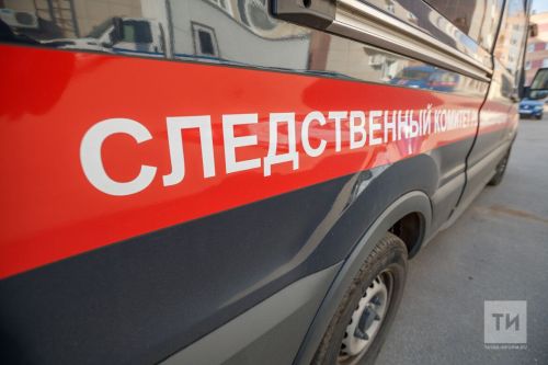 Жительница Апастовского района зарезала родного брата