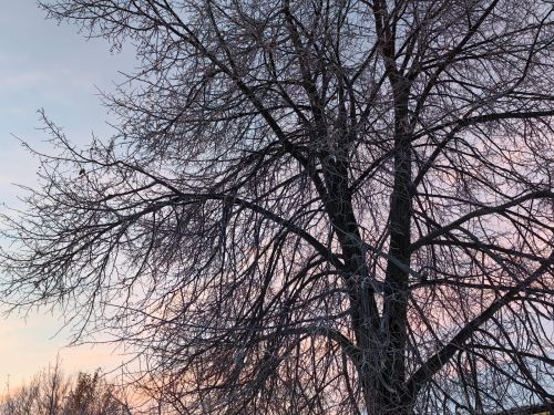 Местами пройдет метель