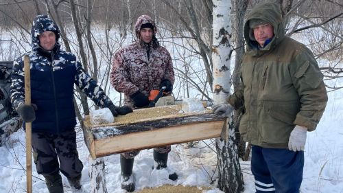 В лесах для животных устраивают специальные кормушки-солонцы