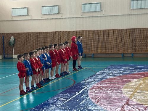 Наши самбисты – победители и призеры турнира