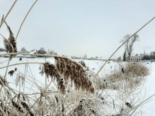 Прогноз погоды на 9 февраля в Камском Устье