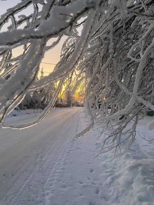 Погодные условия на 10 февраля