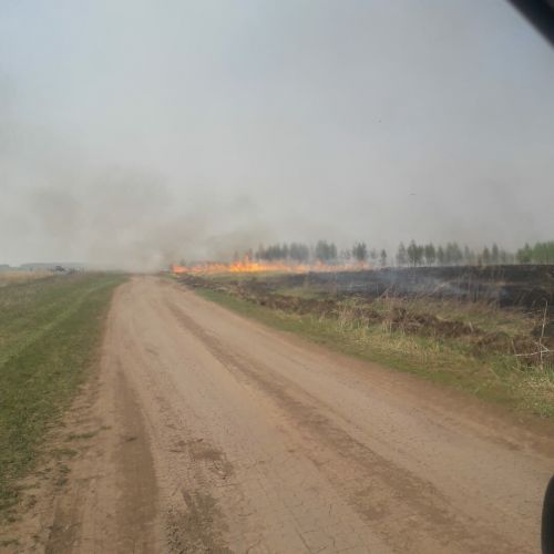 Особый противопожарный сезон стартует на две недели раньше