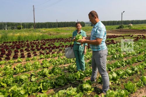 Россельхознадзор РТ дал советы по выбору саженцев