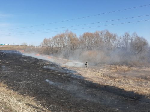 В Татарстане МЧС ввел запрет на приготовление шашлыков