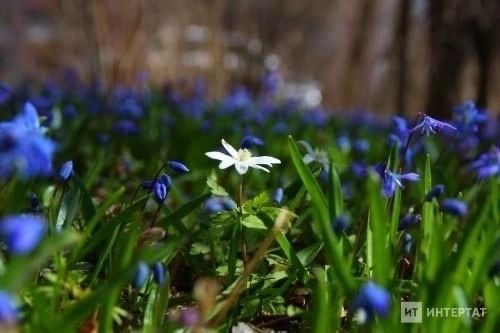 Синоптиклар бераз яңгыр һәм +19 градуска кадәр җылылык вәгъдә итә