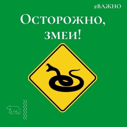 Змеи активизировались